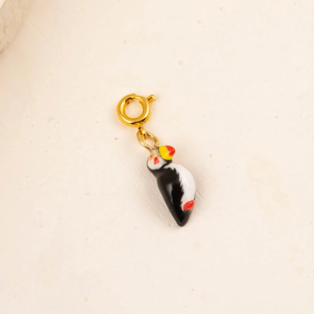 Charm Pulcinella di mare