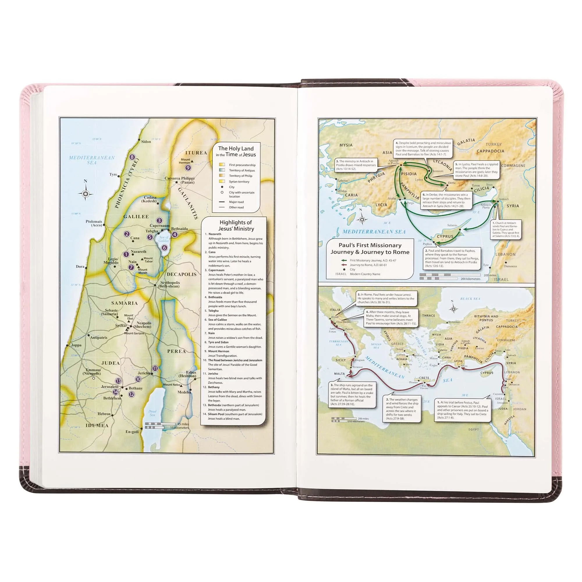 KJV BIBLE BROWN PINK FAUX LEATHER  DELUXE GIFT BIBLE RED LETTER EDITION RIBBON MARKER